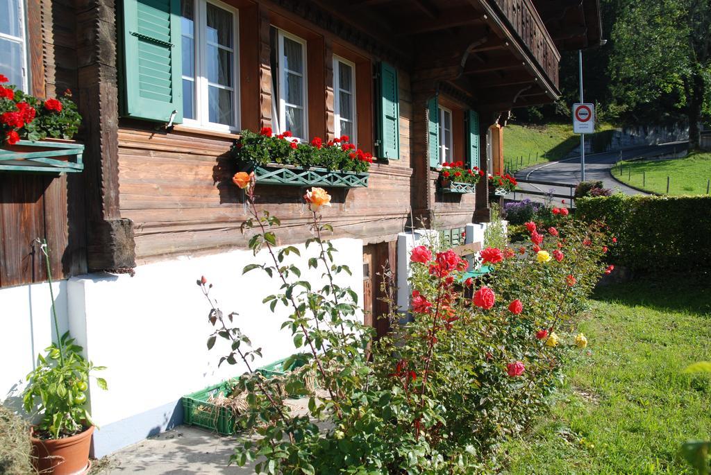 Apartmán Chalet Tuftbach Grindelwald Exteriér fotografie